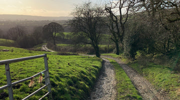Wincle Walks No1. Rookery Wood