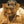 Load image into Gallery viewer, Cask Ale: Wincle Waller PALE ALE (Alc.3.8%)